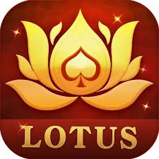 play online 3 patti download